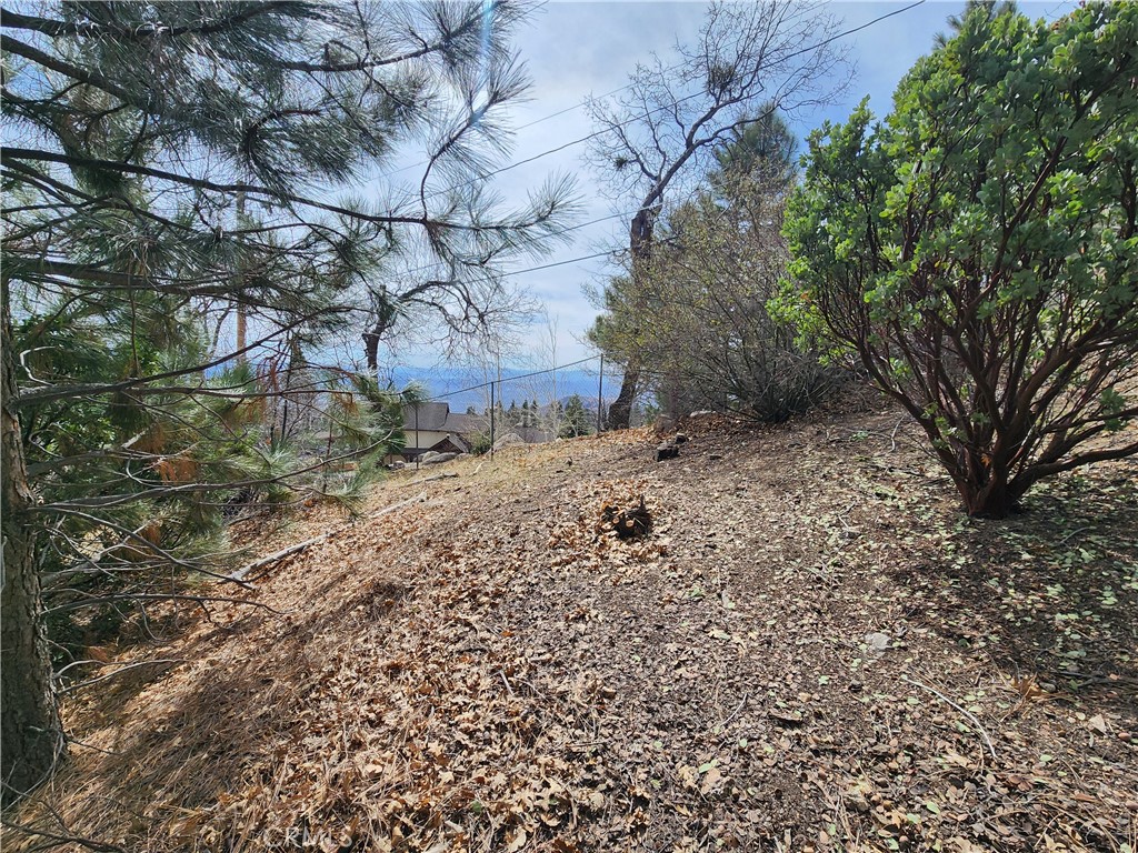 Running Springs (RUSG) - Land