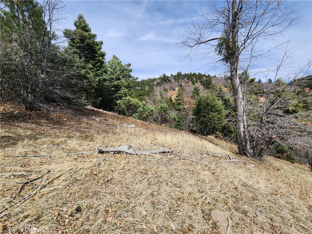 Running Springs (RUSG) - Land