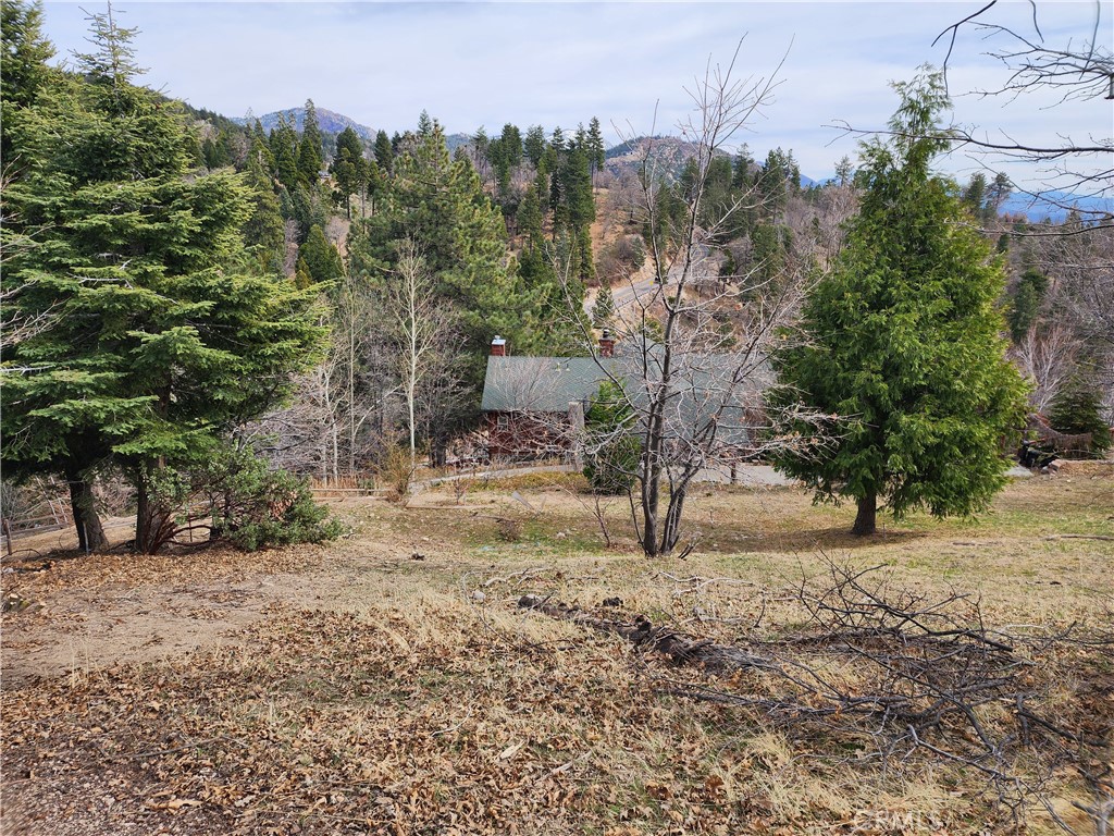 Running Springs (RUSG) - Land