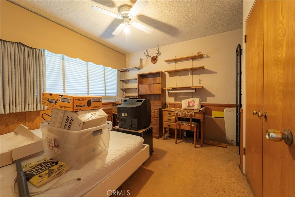 217 Dochan Circle