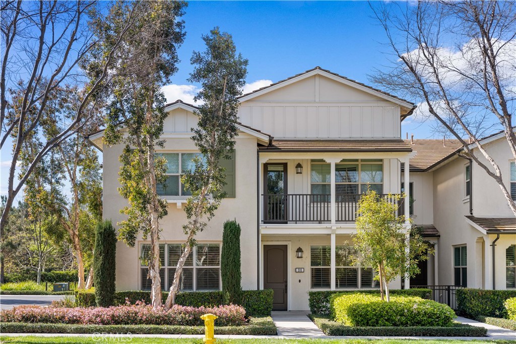 200 Rose Arch