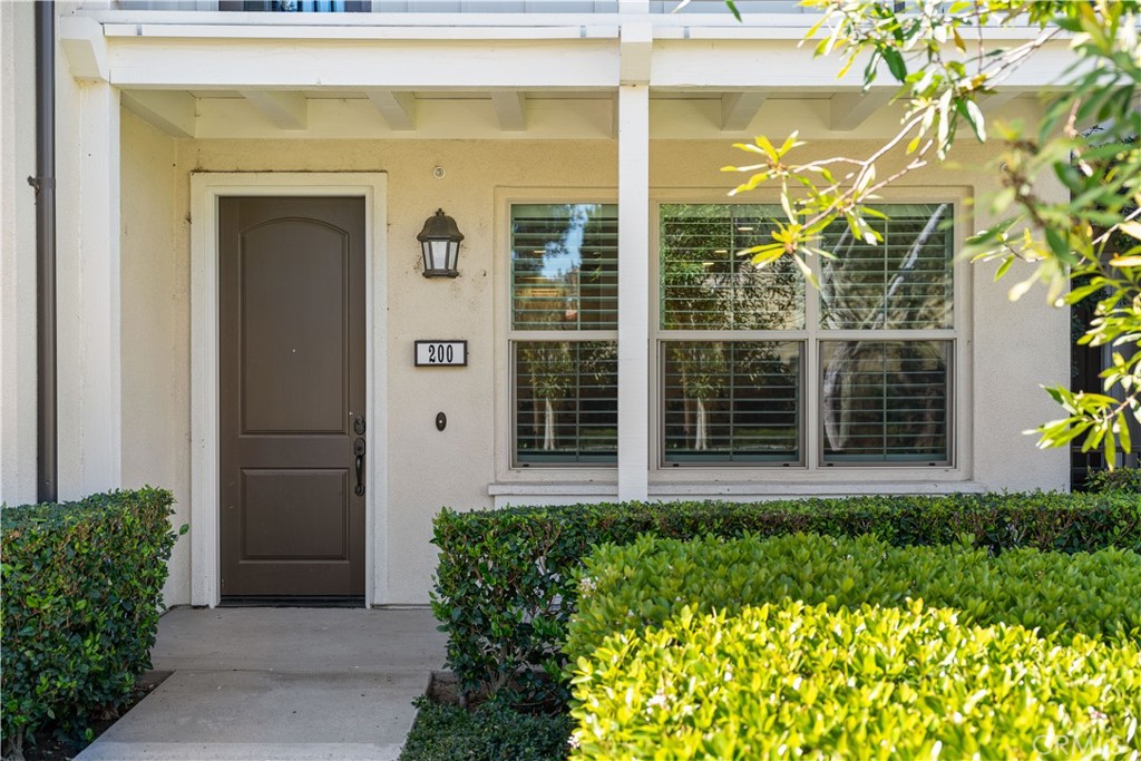 200 Rose Arch