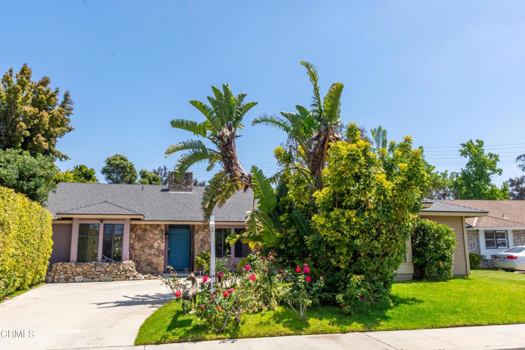 listing image 130725598890019568855