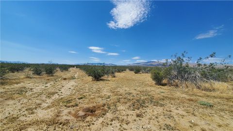 Photo of 0 Budlong Ave & 114th St West, Rosamond, CA 93560 (MLS # SR23171065) Photo of 0 Budlong Ave & 114th St West, Rosamond, CA 93560 (MLS # SR23171065)