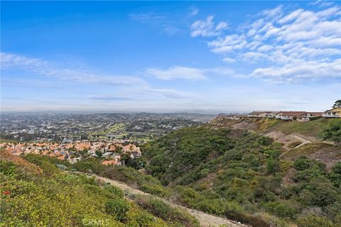 A home in Laguna Niguel