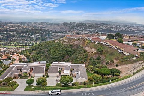 A home in Laguna Niguel