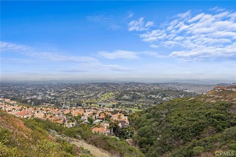 A home in Laguna Niguel