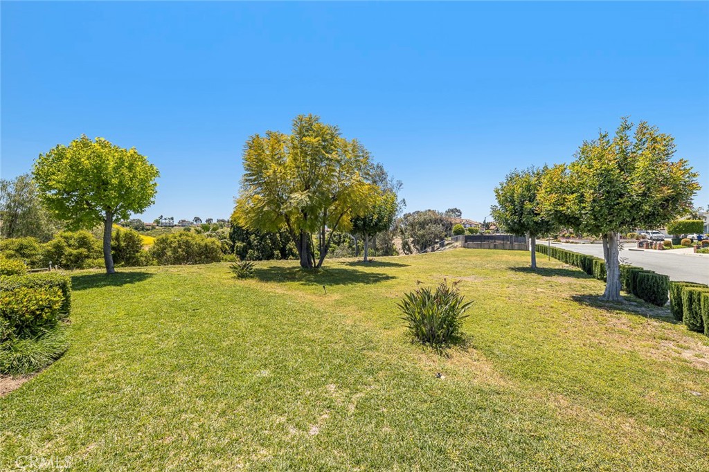 19520 Empty Saddle Road
