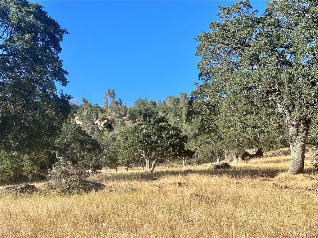 View Mariposa, CA 95338 property