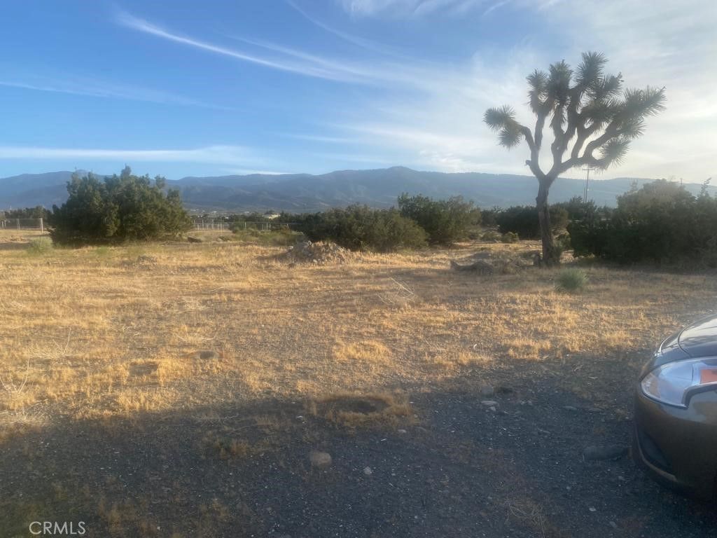 listing image 130724168924719107654
