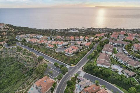 A home in Laguna Niguel