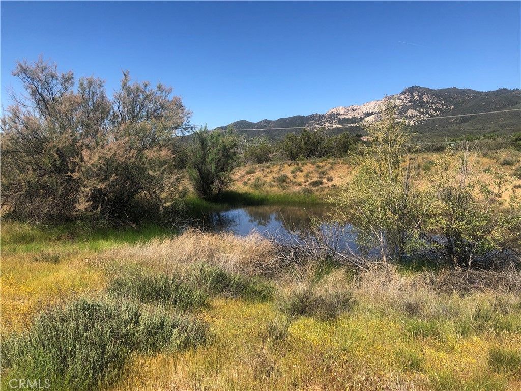 listing image 130726567410408602118