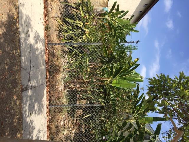 GREAT LOT TO BUILD A HOME