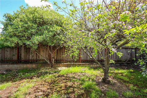 listing image 65