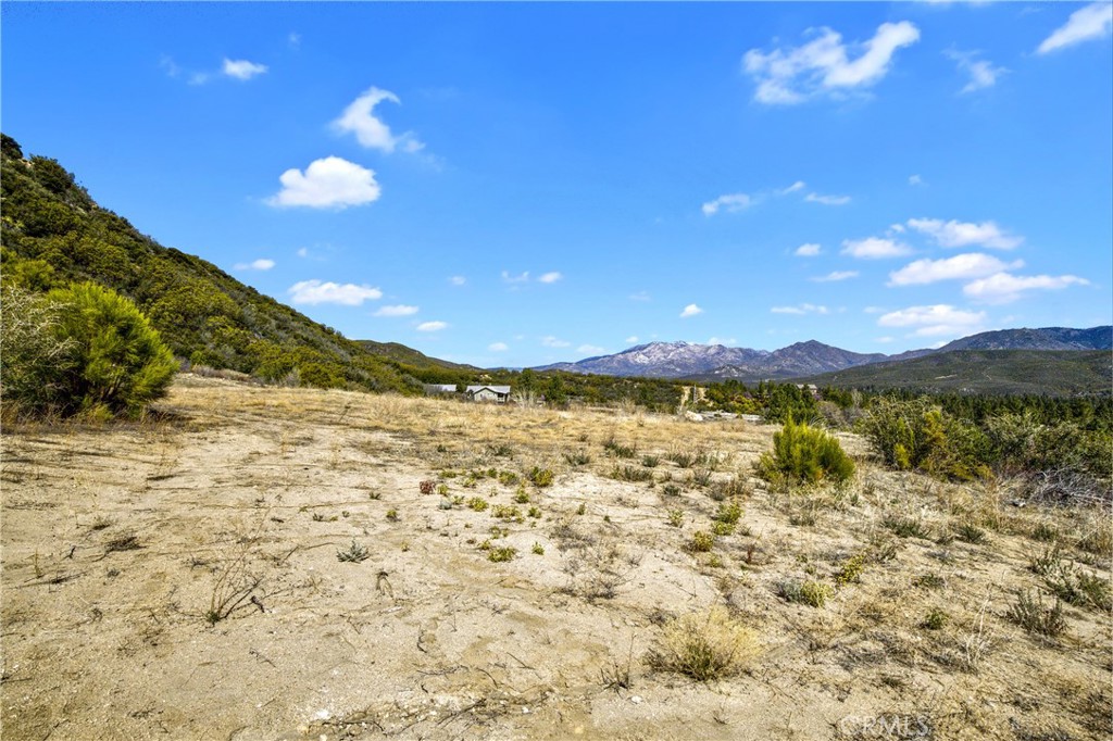 Garner Valley - Land