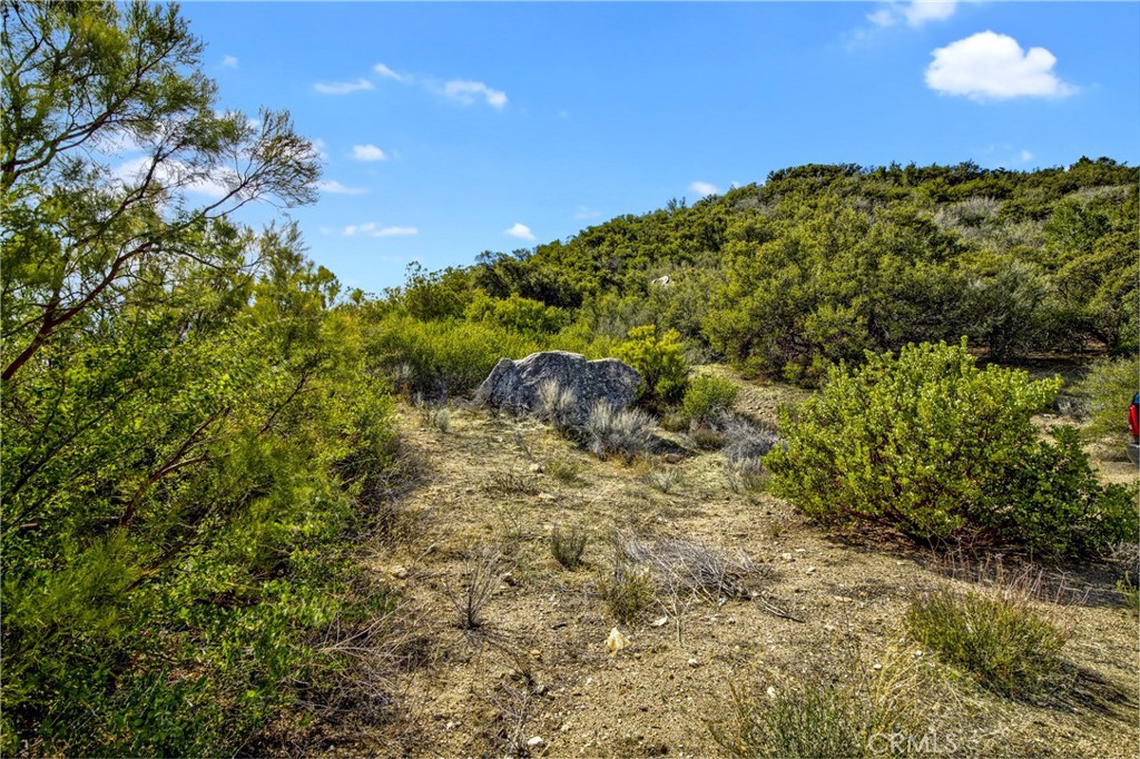Garner Valley - Land