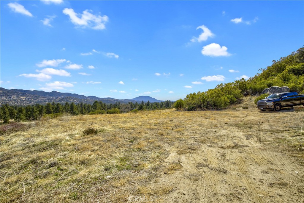 Garner Valley - Land