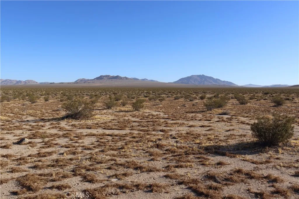 Lucerne Valley, California 92356, United States, ,Land,Active,49055