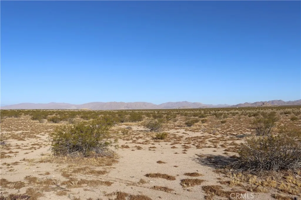 Lucerne Valley, California 92356, United States, ,Land,Active,49055