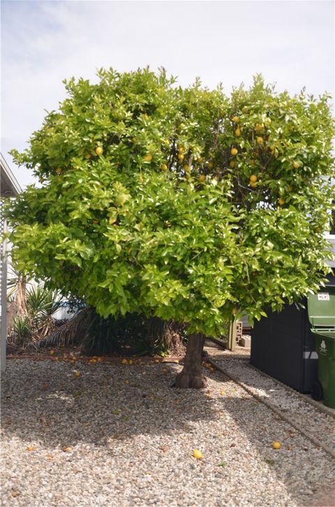 listing image 56