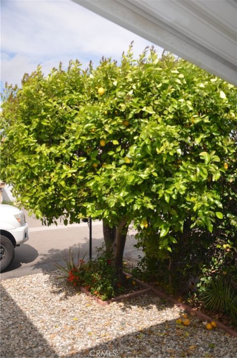 listing image 50