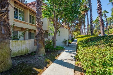 A home in Laguna Hills