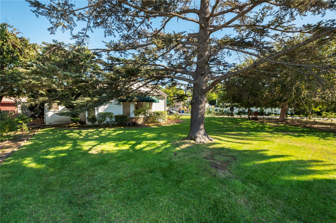 145 w san antonio drive