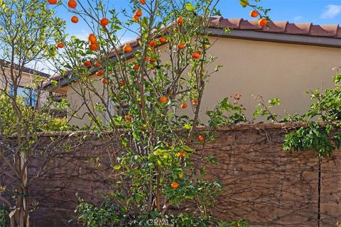 A home in Irvine