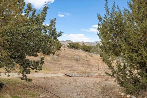 listing image 54