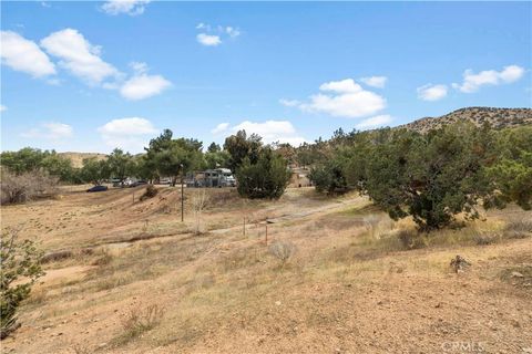 listing image 44