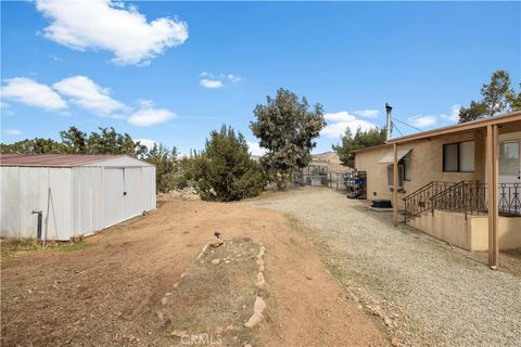 listing image 48
