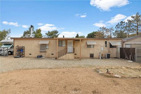 listing image 49
