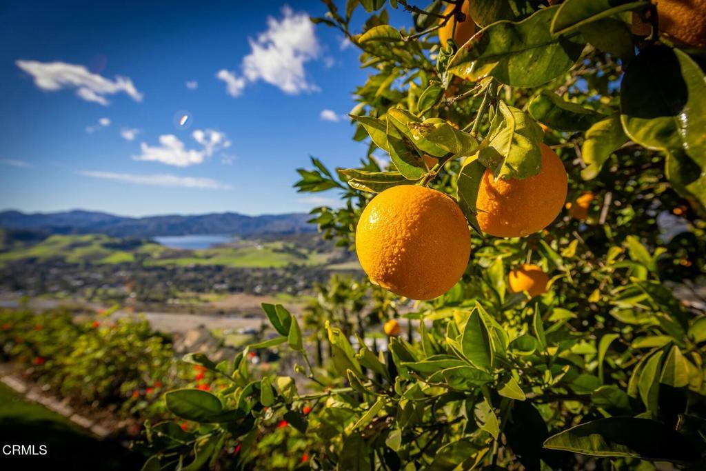 Ojai: Other - Residential