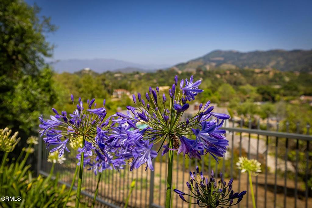 Ojai: Other - Residential