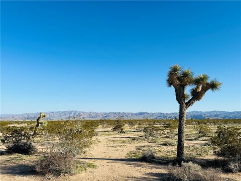Photo of 1974 Sunset Road, Joshua Tree, CA 92252 (MLS # JT25045607)