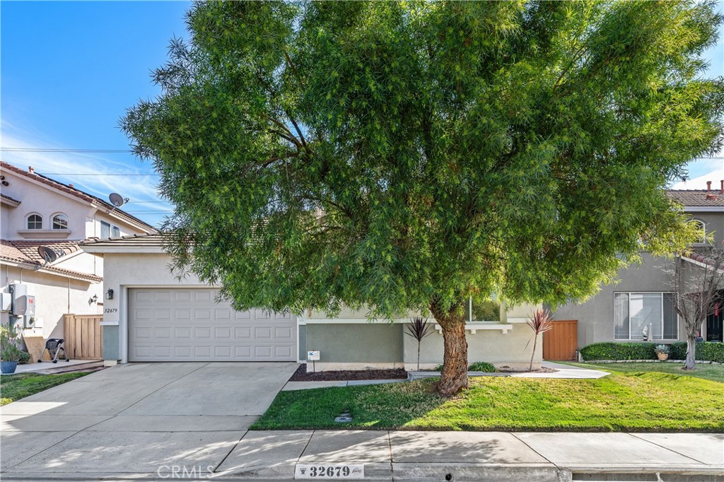 32679 Gabbiano Street