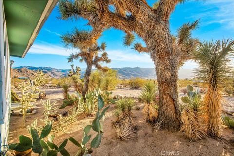 A home in Joshua Tree