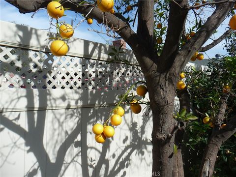 A home in Canoga Park