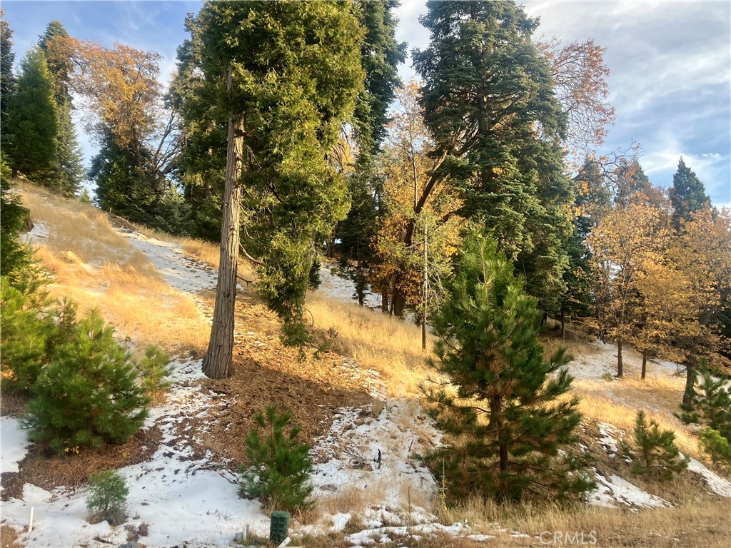 Arrowhead Woods (AWHW) - Land