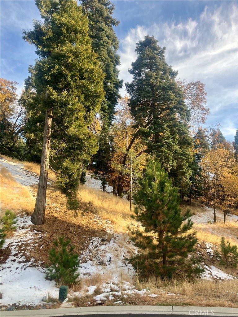 Arrowhead Woods (AWHW) - Land