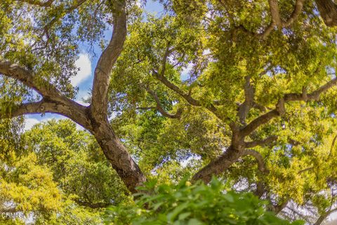 A home in Ojai