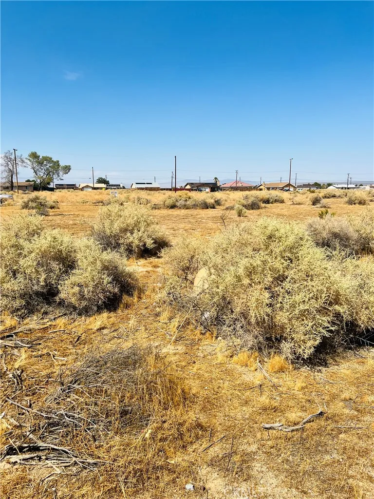California City, California 93505, United States, ,Land,Active,117657