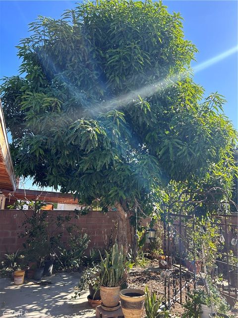 A home in Santa Ana