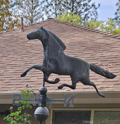 A home in Forest Ranch