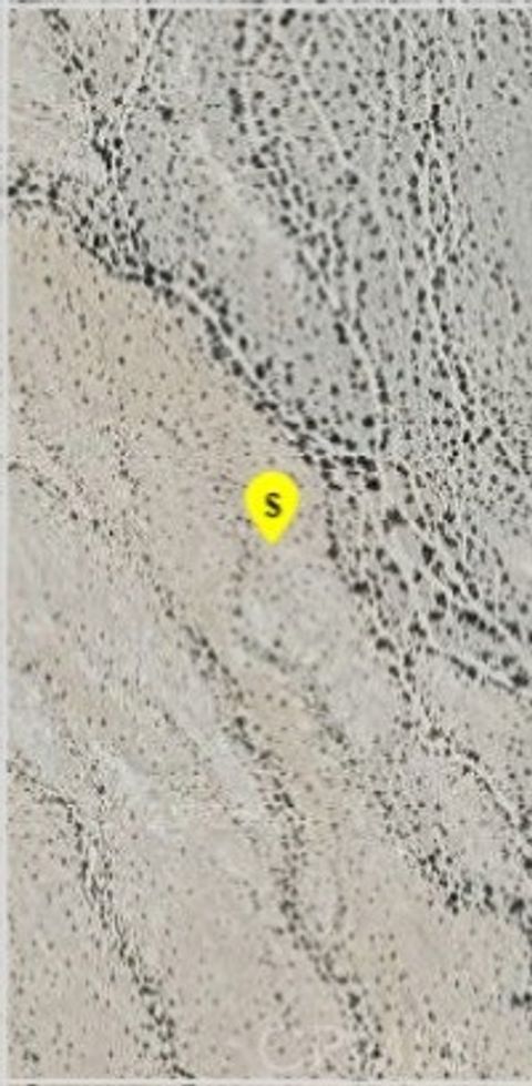 Photo of 0 Vacant Land, Desert Center, CA 92239 (MLS # IV25028189)