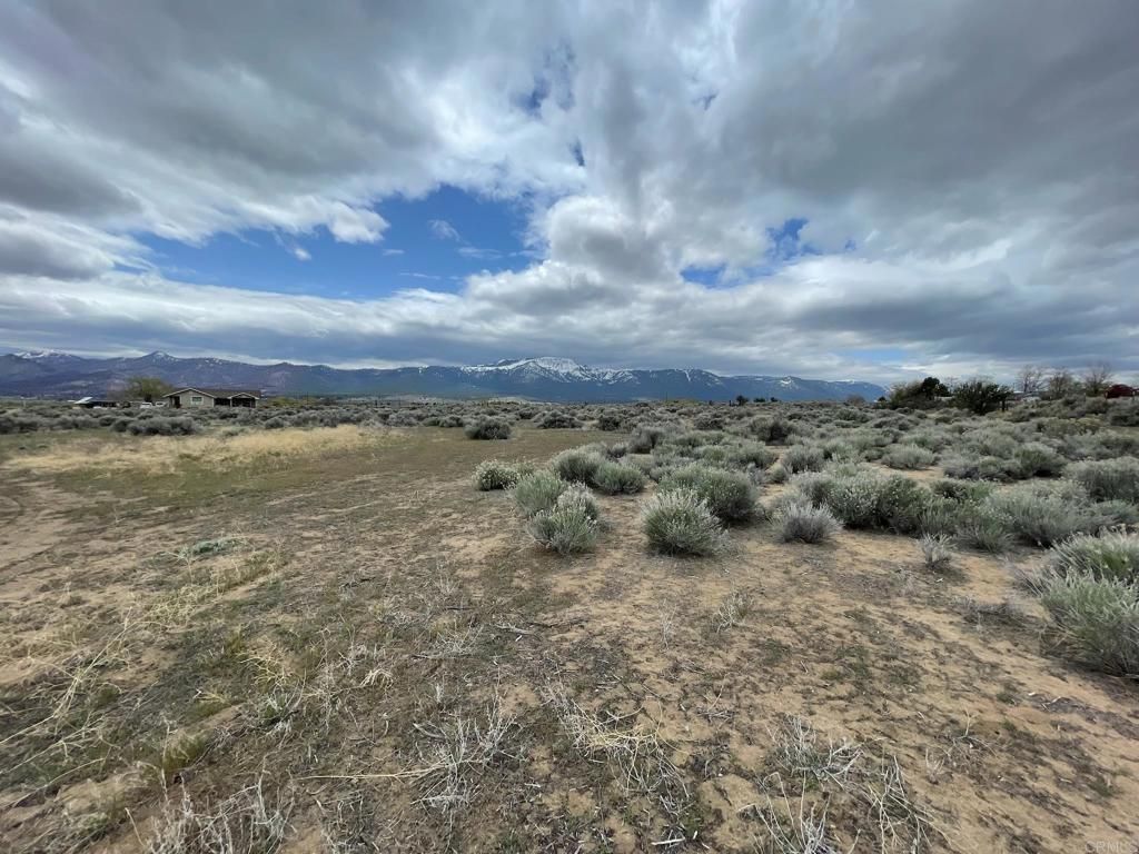 listing image 130720043762053814658