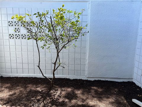 A home in Laguna Woods