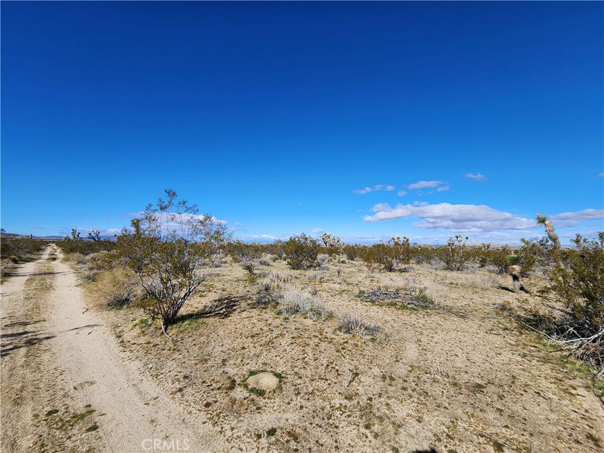 Come check this 20 acres flat lot not far from pavement and Highway 138.