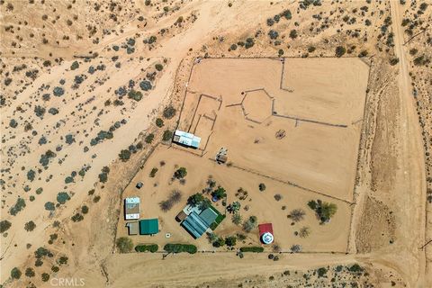 A home in Joshua Tree