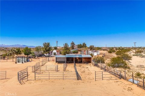 A home in Joshua Tree